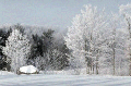Nice winter scene